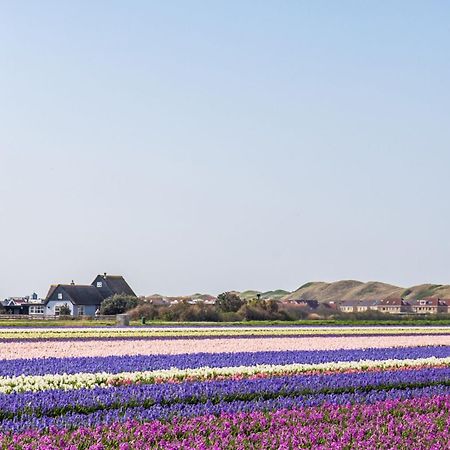 Familiehuis Westenwind - Julianadorp Aan Zee Eksteriør bilde